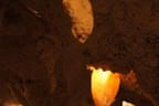 Pressebilder Bild 33