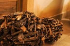 Pressebilder Bild 22